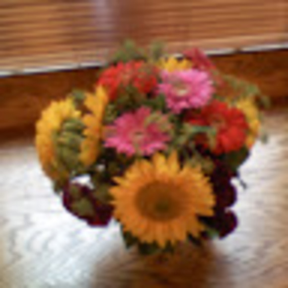 Not For Sale - Picture 1 of 1